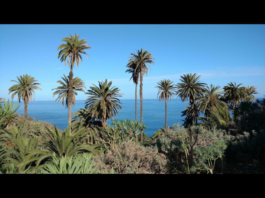 Villa In Protected Space In Front Of The Sea Los Realejos Exterior foto